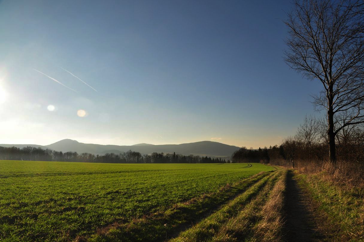 "Winterlandschaft"