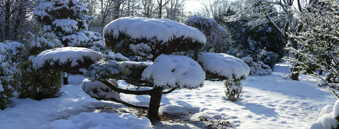 Winterlandschaft