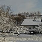 Winterlandschaft