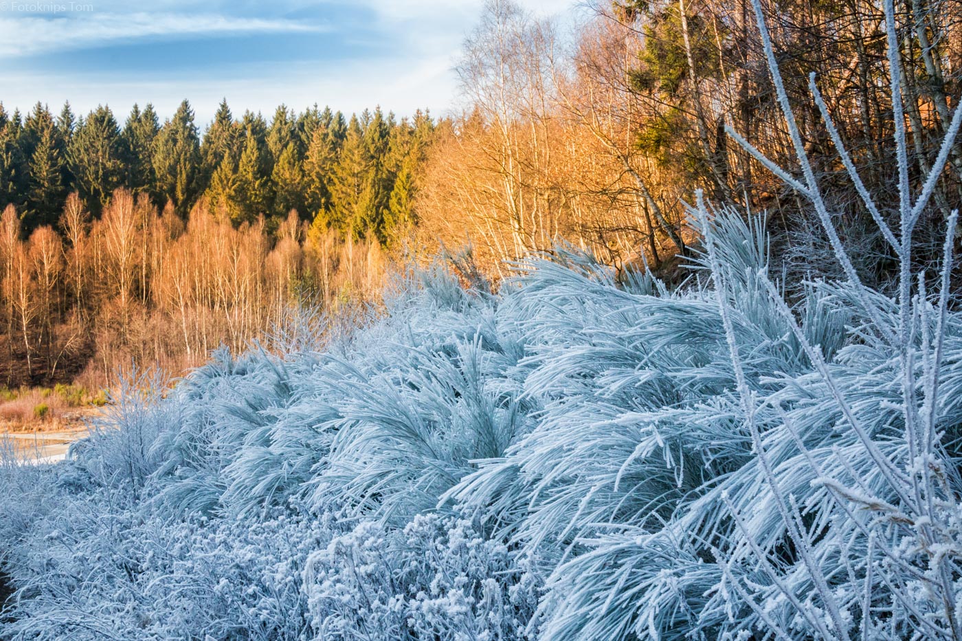 Winterlandschaft