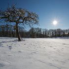 Winterlandschaft