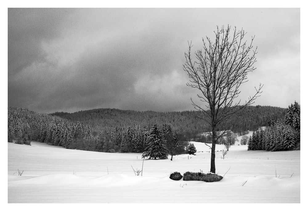 Winterlandschaft