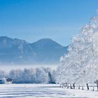 Winterlandschaft,