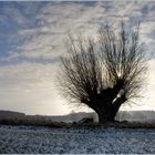 Winterlandschaft 2