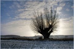 Winterlandschaft 2