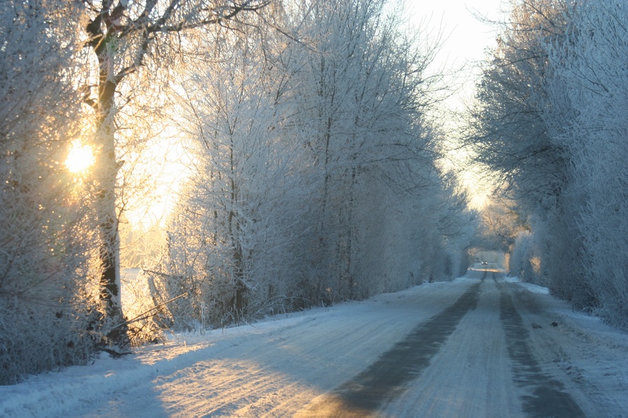 Winterlandschaft 2