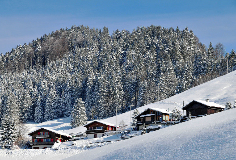 Winterlandschaft 2