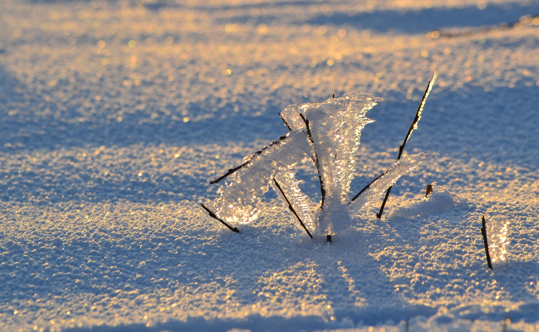 Winterlandschaft 2 .