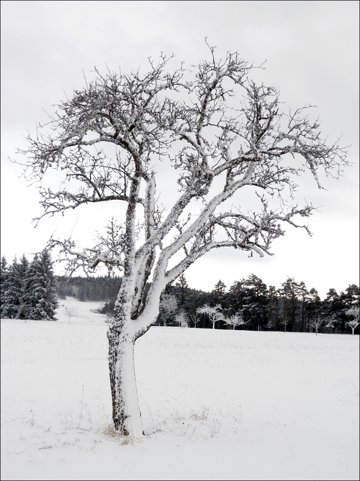 Winterlandschaft (2)