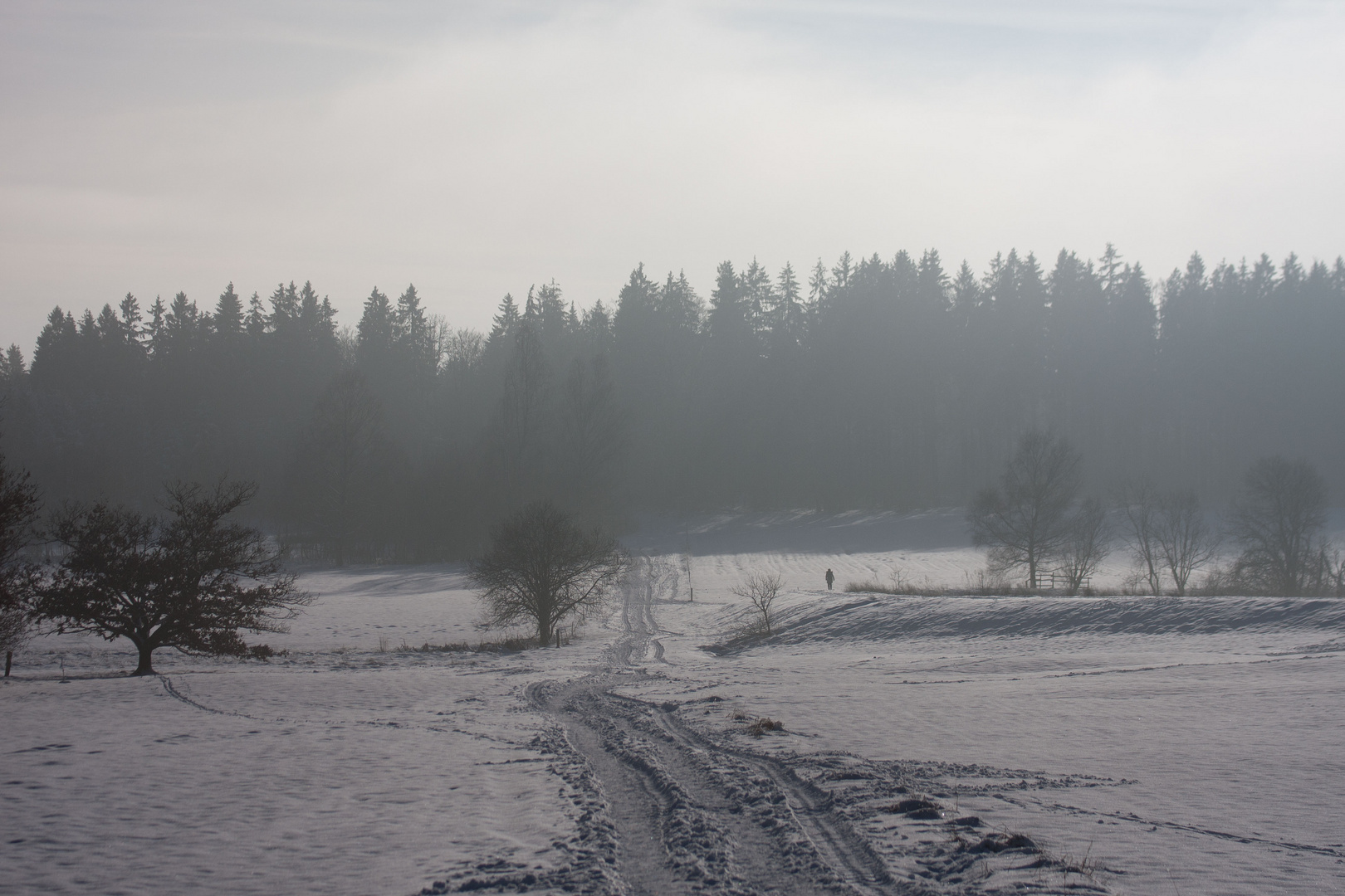 Winterlandschaft 2