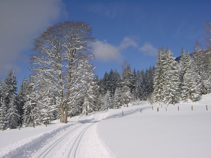 Winterlandschaft 2