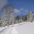 Winterlandschaft 2