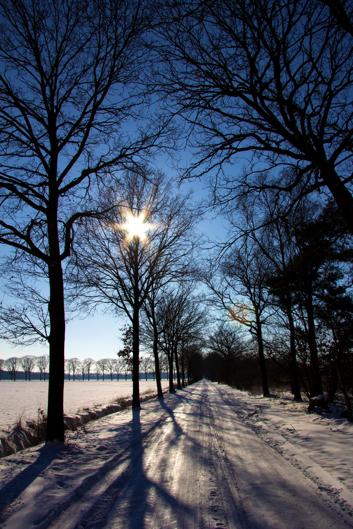 Winterlandschaft 2