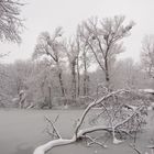 Winterlandschaft 2