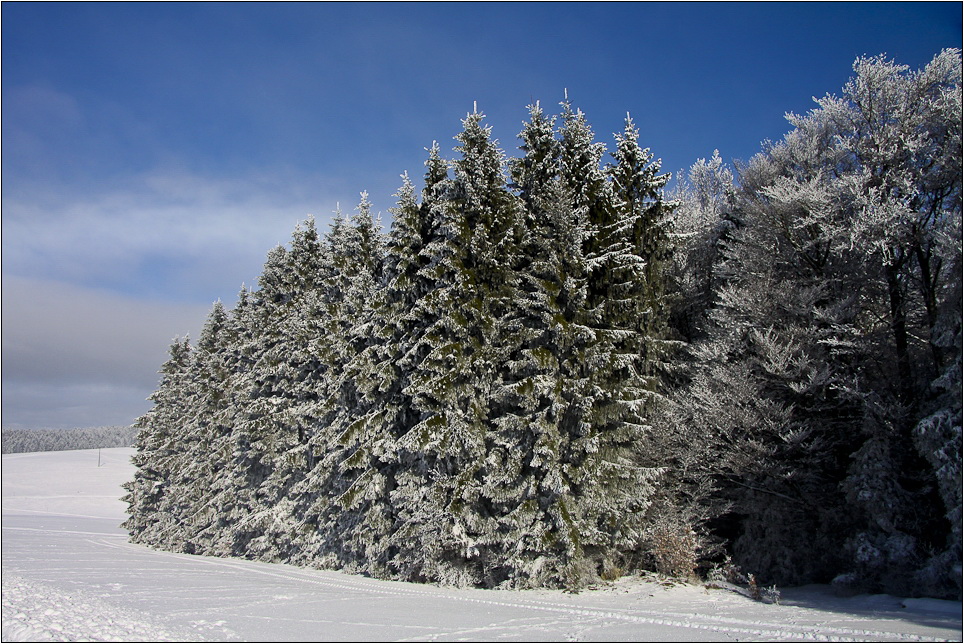 Winterlandschaft 2