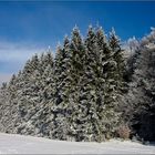 Winterlandschaft 2