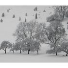 Winterlandschaft (2)