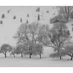 Winterlandschaft (2)