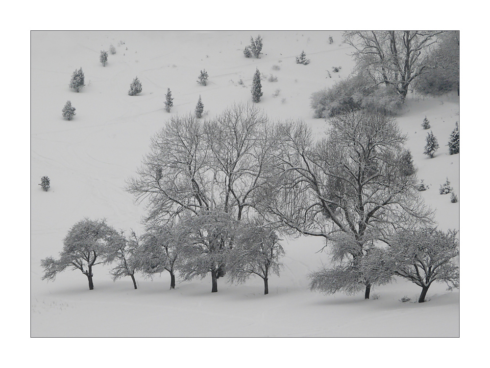 Winterlandschaft (2)