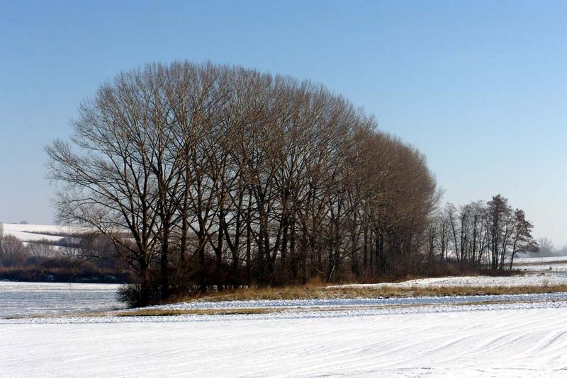 Winterlandschaft 2