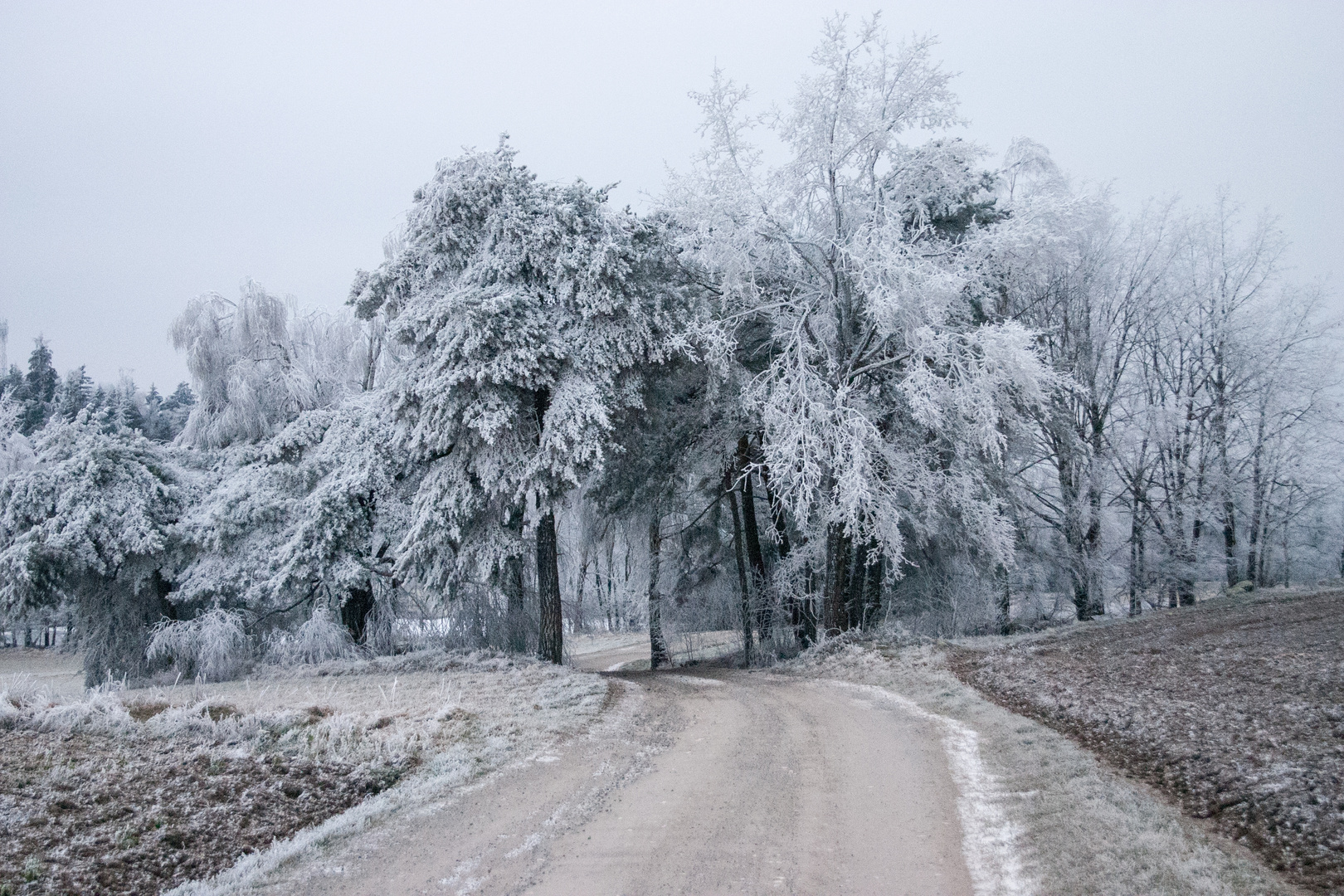 Winterlandschaft 2