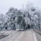 Winterlandschaft 2