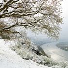 Winterlandschaft 2 am 2. April auf der Erpeler Ley am Rhein