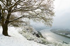 Winterlandschaft 2 am 2. April auf der Erpeler Ley am Rhein