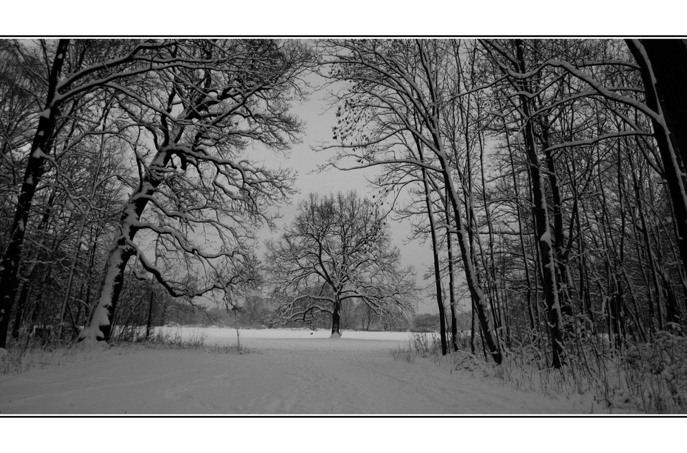 Winterlandschaft 2