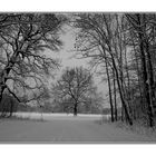 Winterlandschaft 2