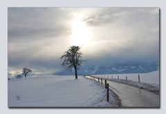 Winterlandschaft 2