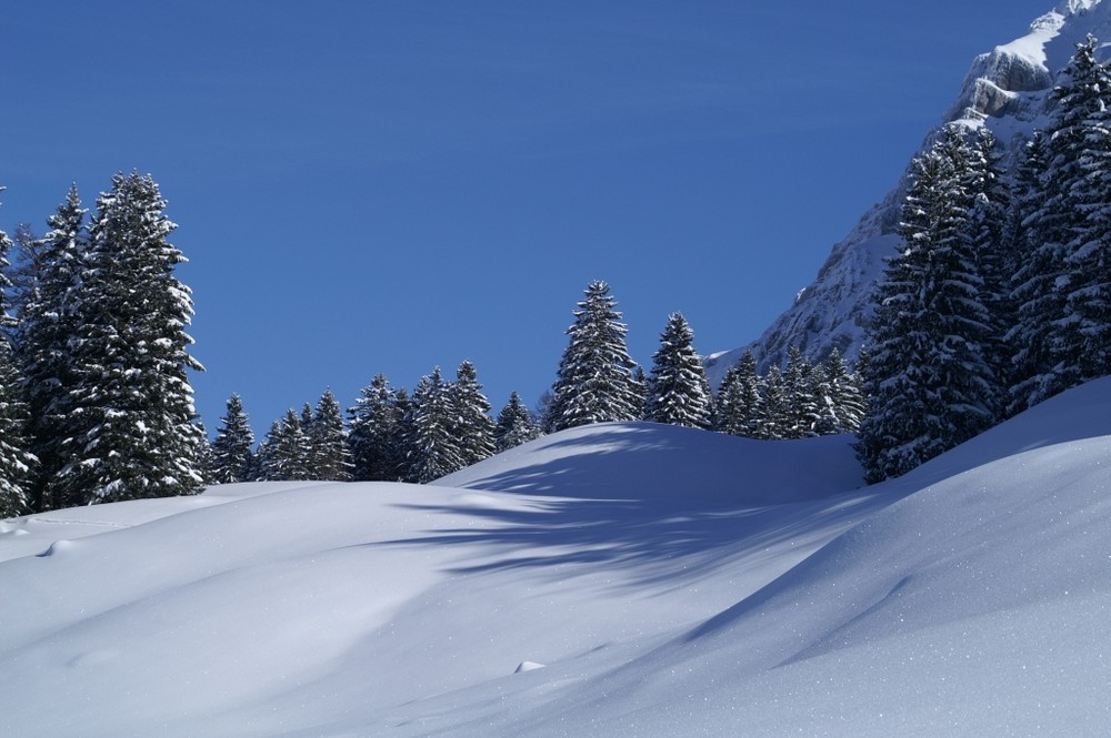 Winterlandschaft 2