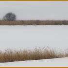 Winterlandschaft-2