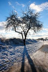 Winterlandschaft-2