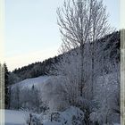 Winterlandschaft 2