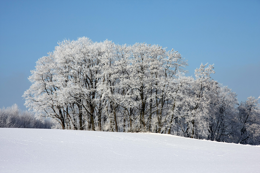 Winterlandschaft 2