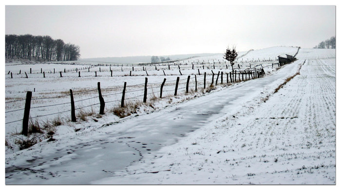 Winterlandschaft 2005