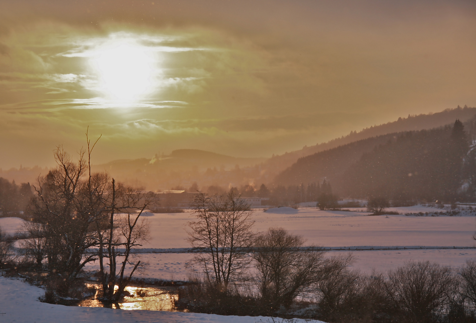 Winterlandschaft 2010