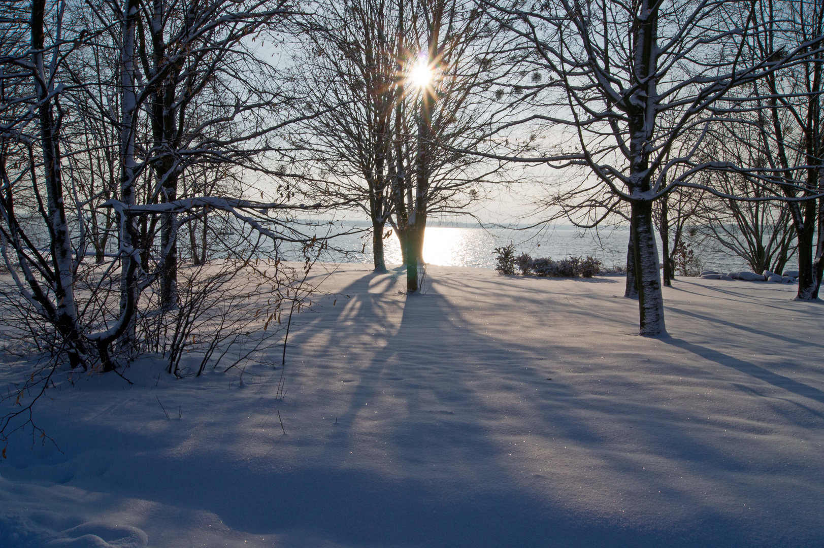 Winterlandschaft 2012