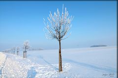 Winterlandschaft 2012 Belgershain i. Sachsen