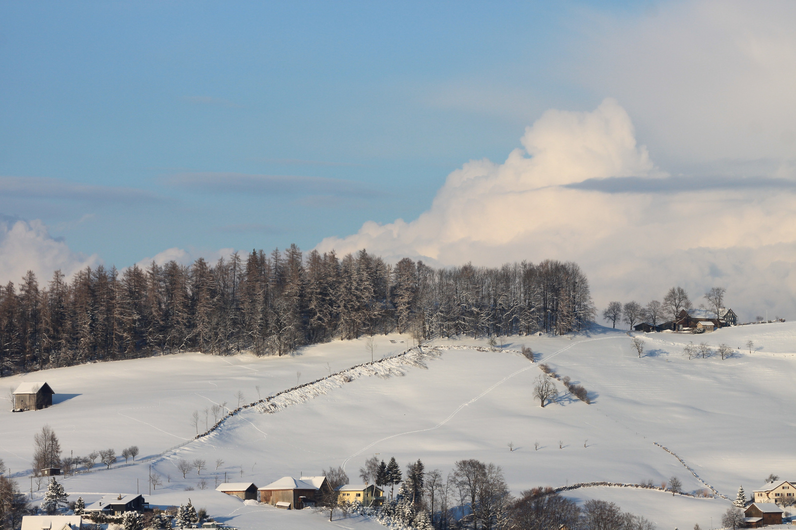 Winterlandschaft 2013