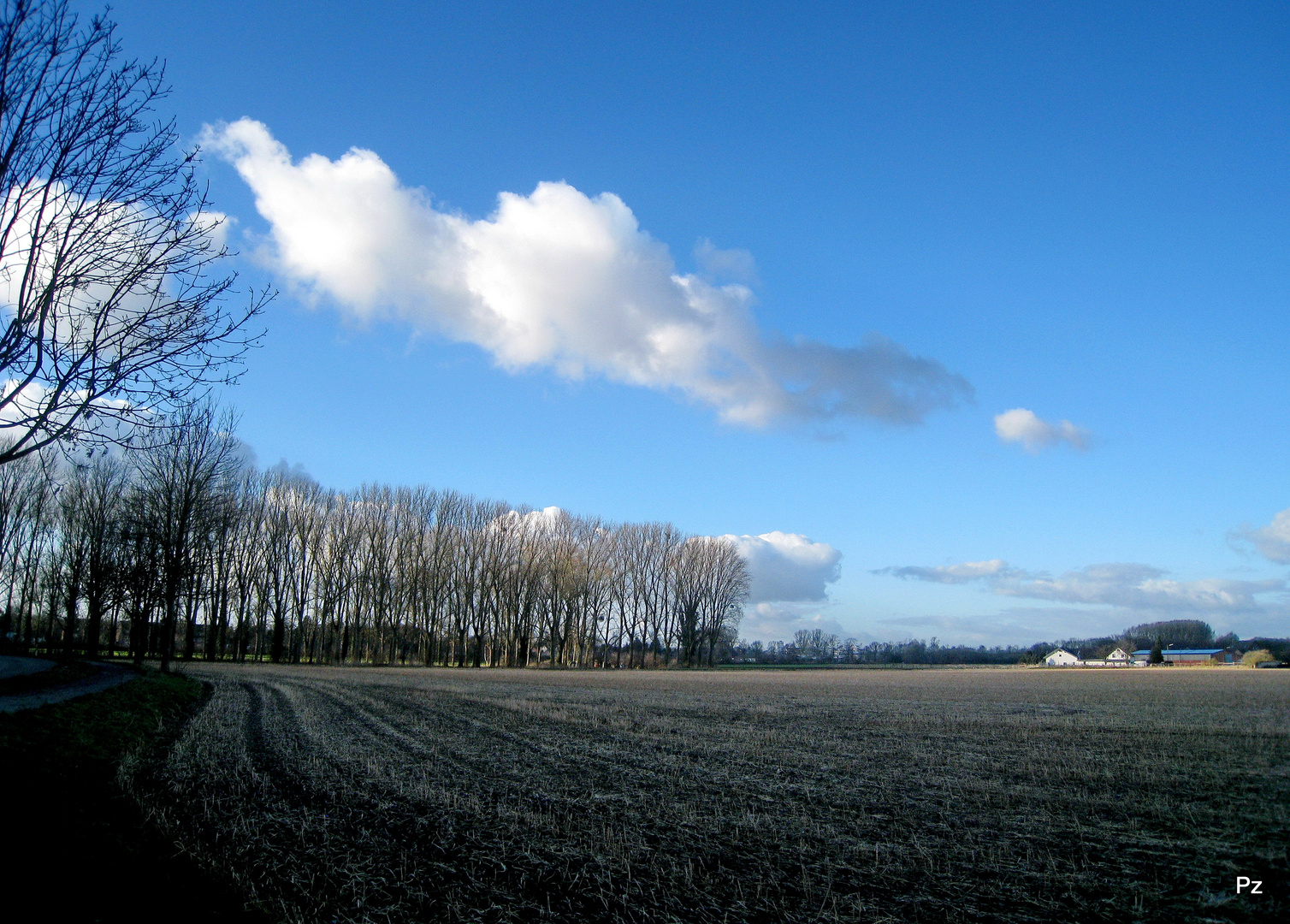 Winterlandschaft 2013 ...