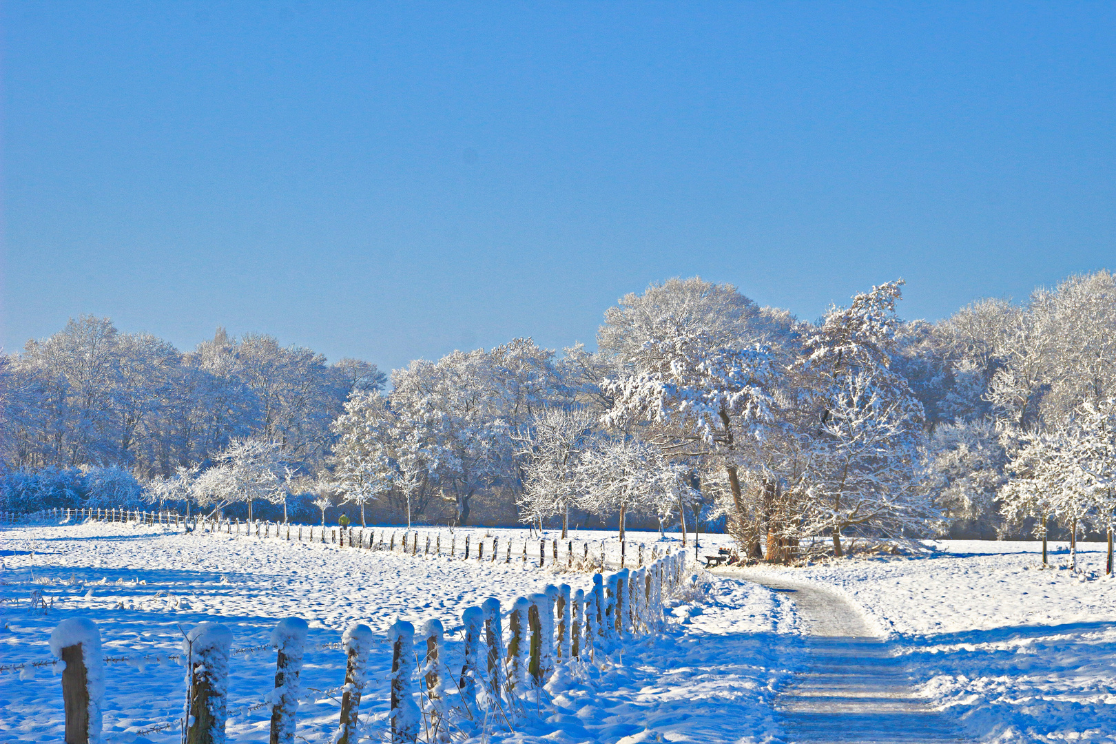 Winterlandschaft 2016