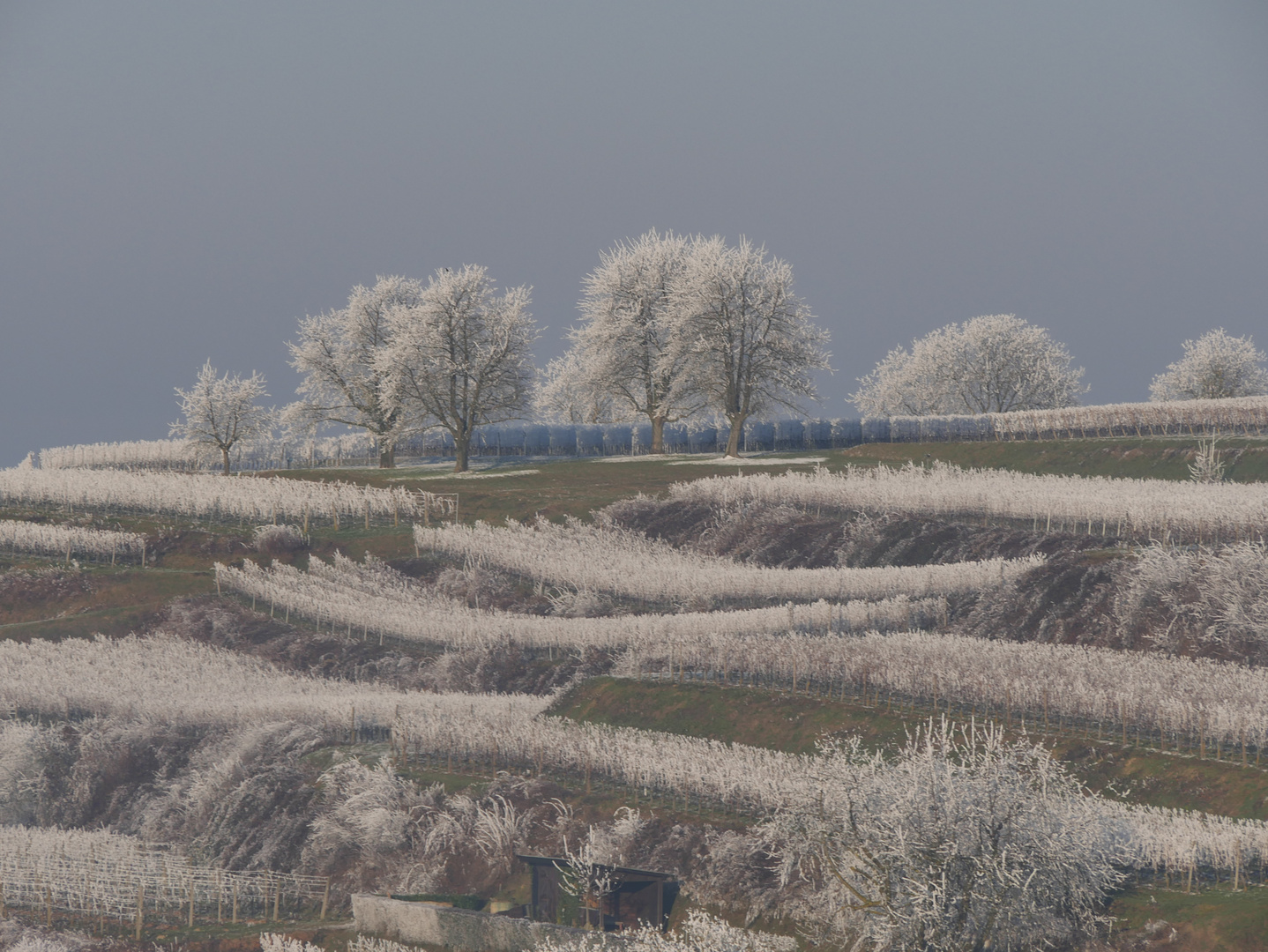 Winterlandschaft 2017