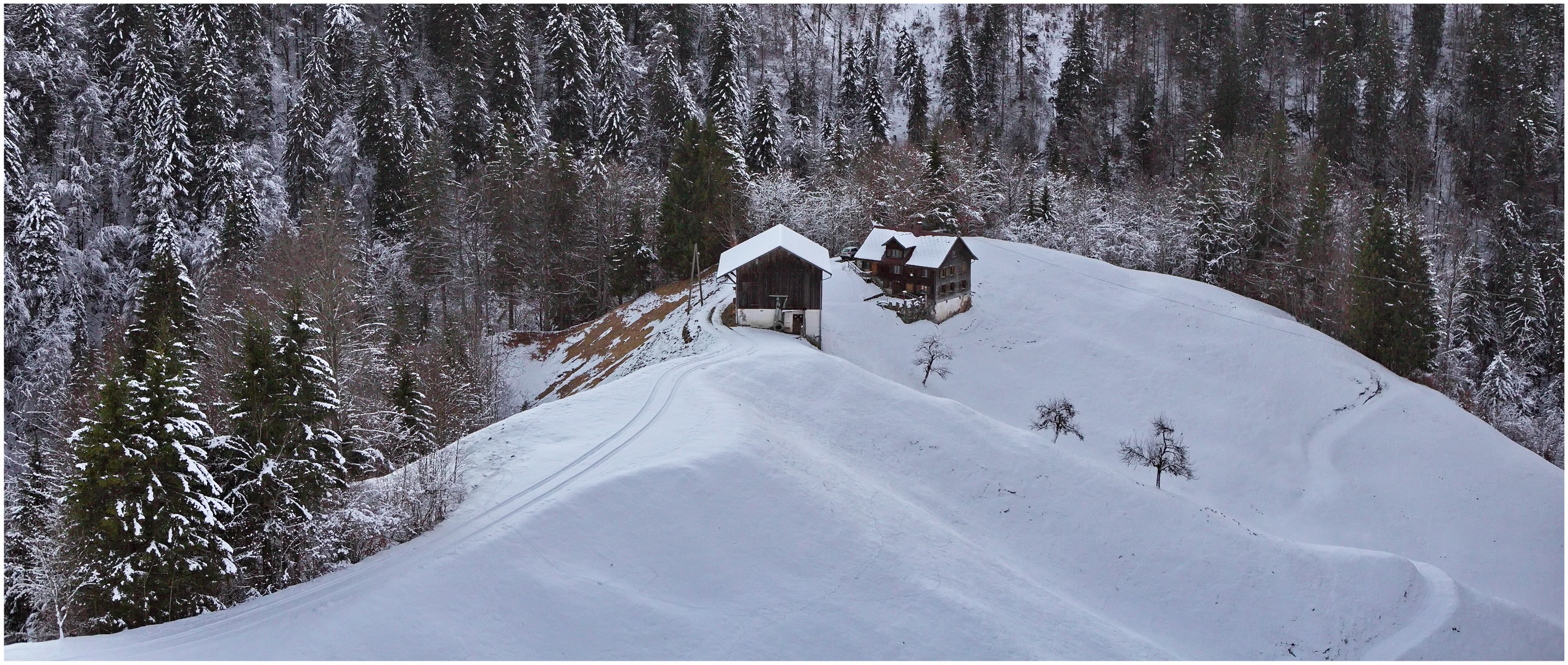 Winterlandschaft  2022-01-14  Panorama