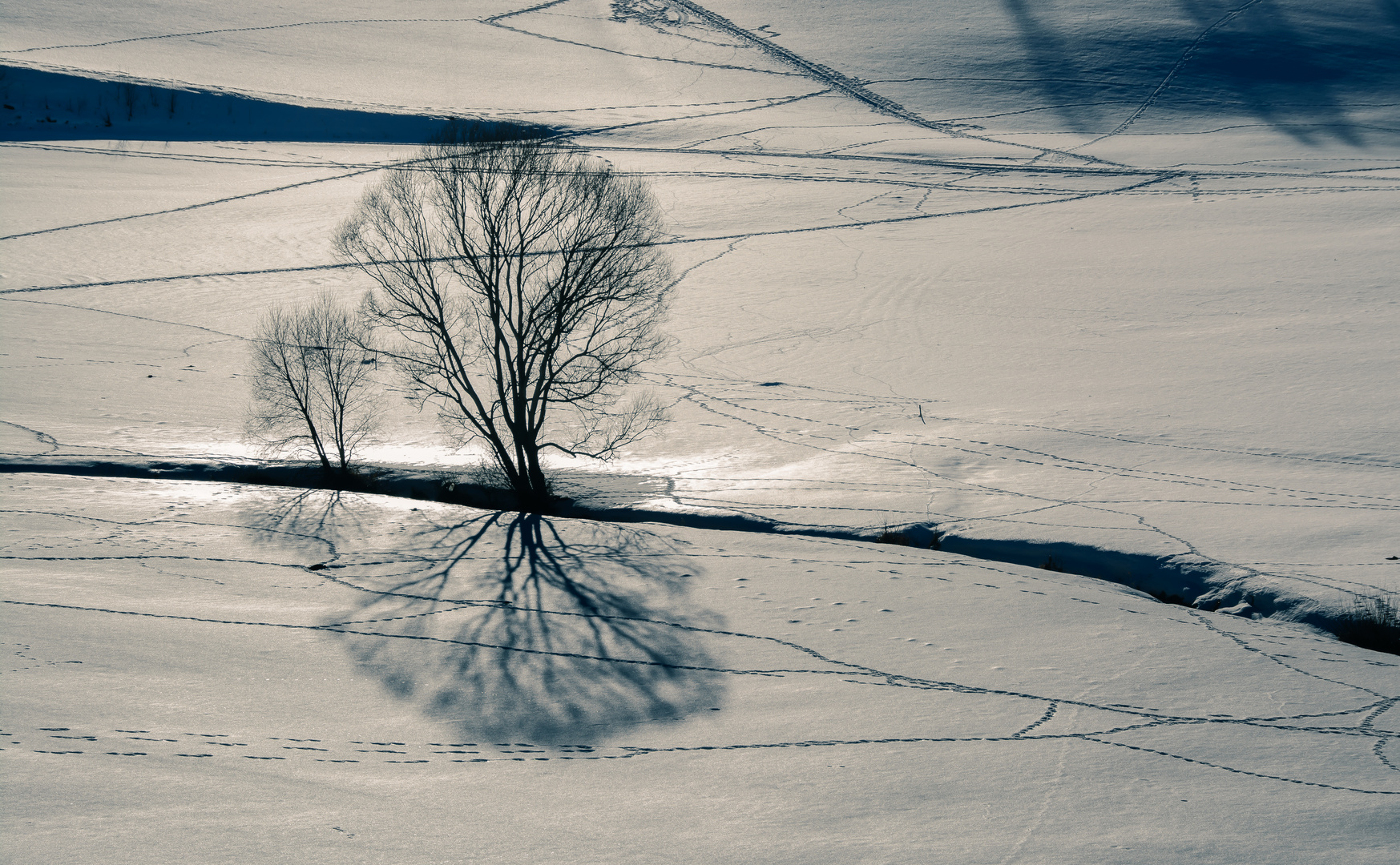 Winterlandschaft