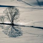 Winterlandschaft