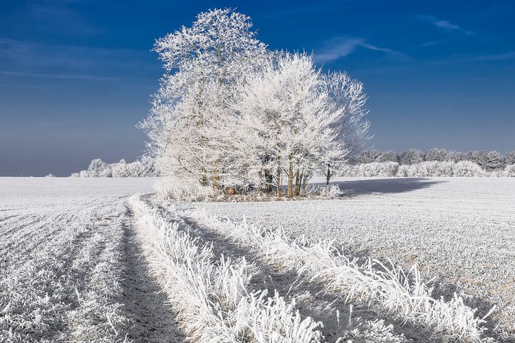 Winterlandschaft