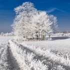 Winterlandschaft