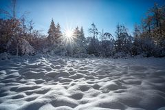 Winterlandschaft